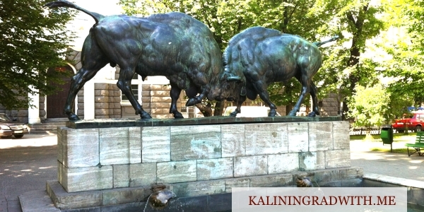 Блог-путеводитель по Калининграду и области от @katya_v_kaliningrade